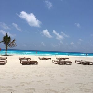 Meet your Posher, Teddy